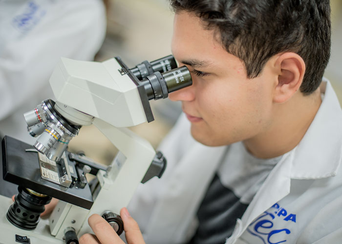 becas y apoyos educativos prepa