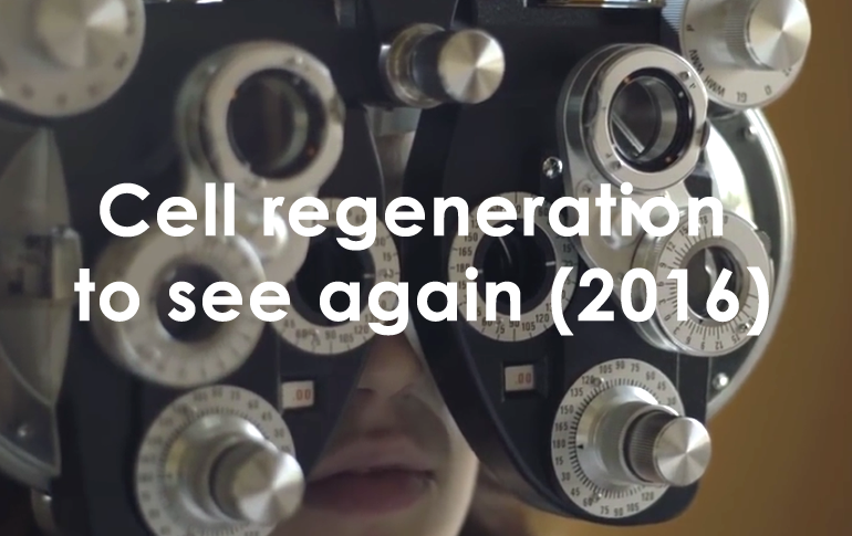 Regeneración