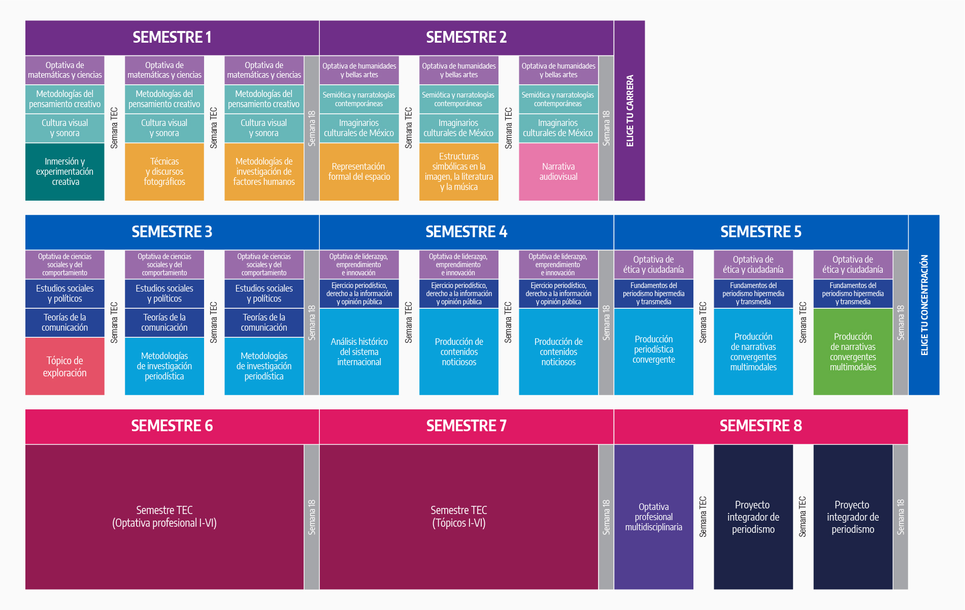 Plan de estudios LPE