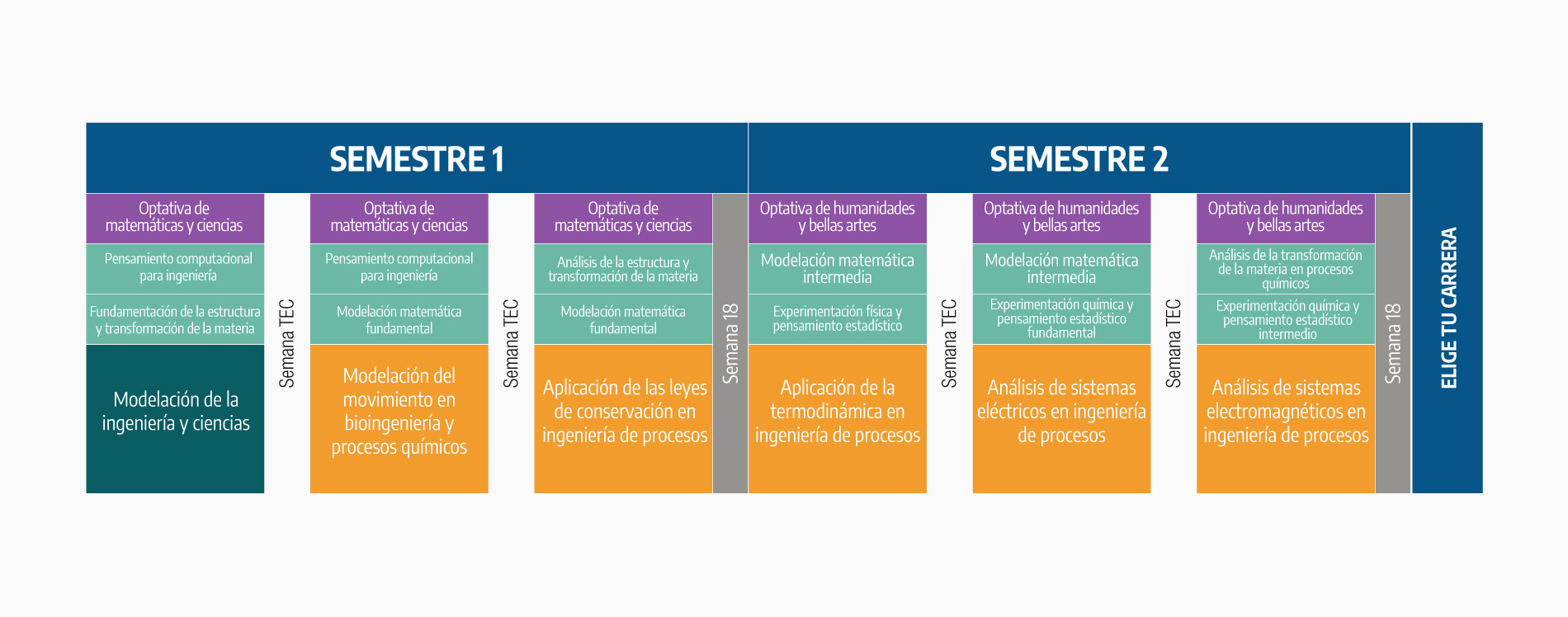 Plan de Estudios