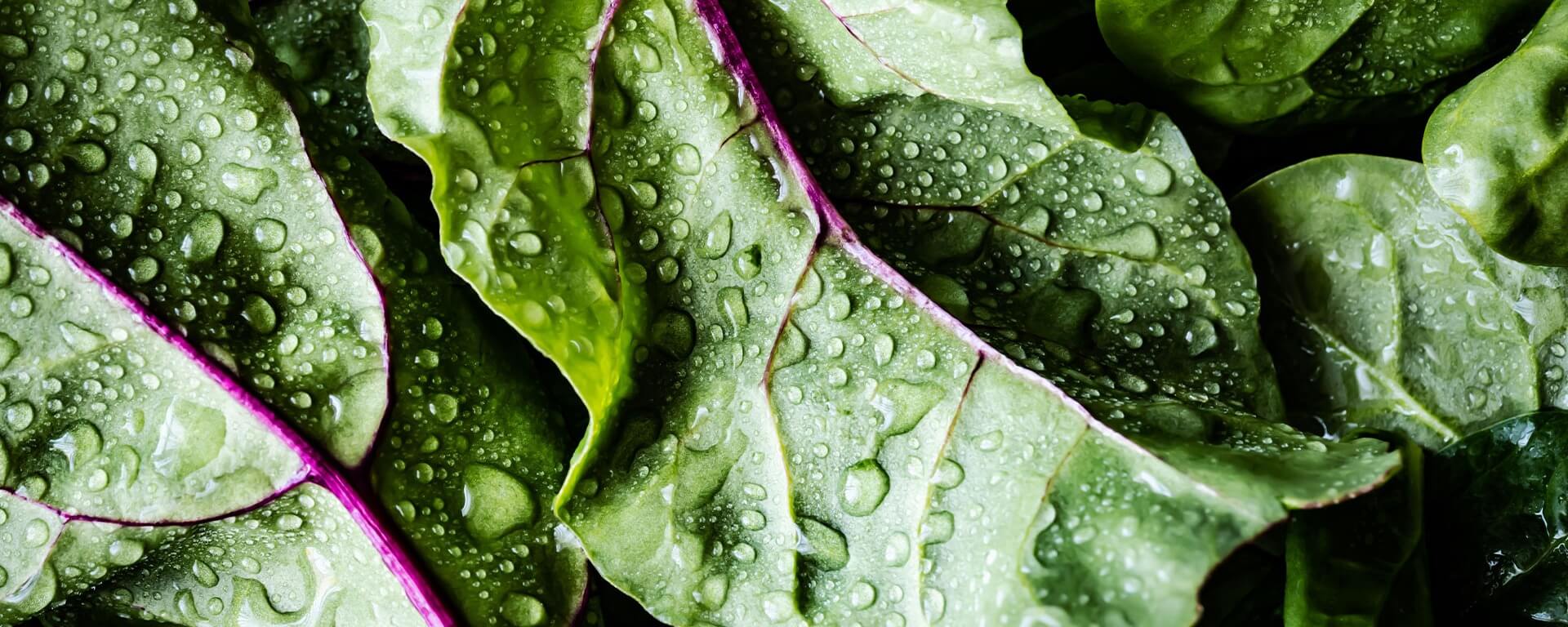 alimentos saludables