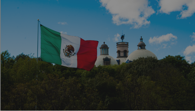 Tu llegada a México Banner