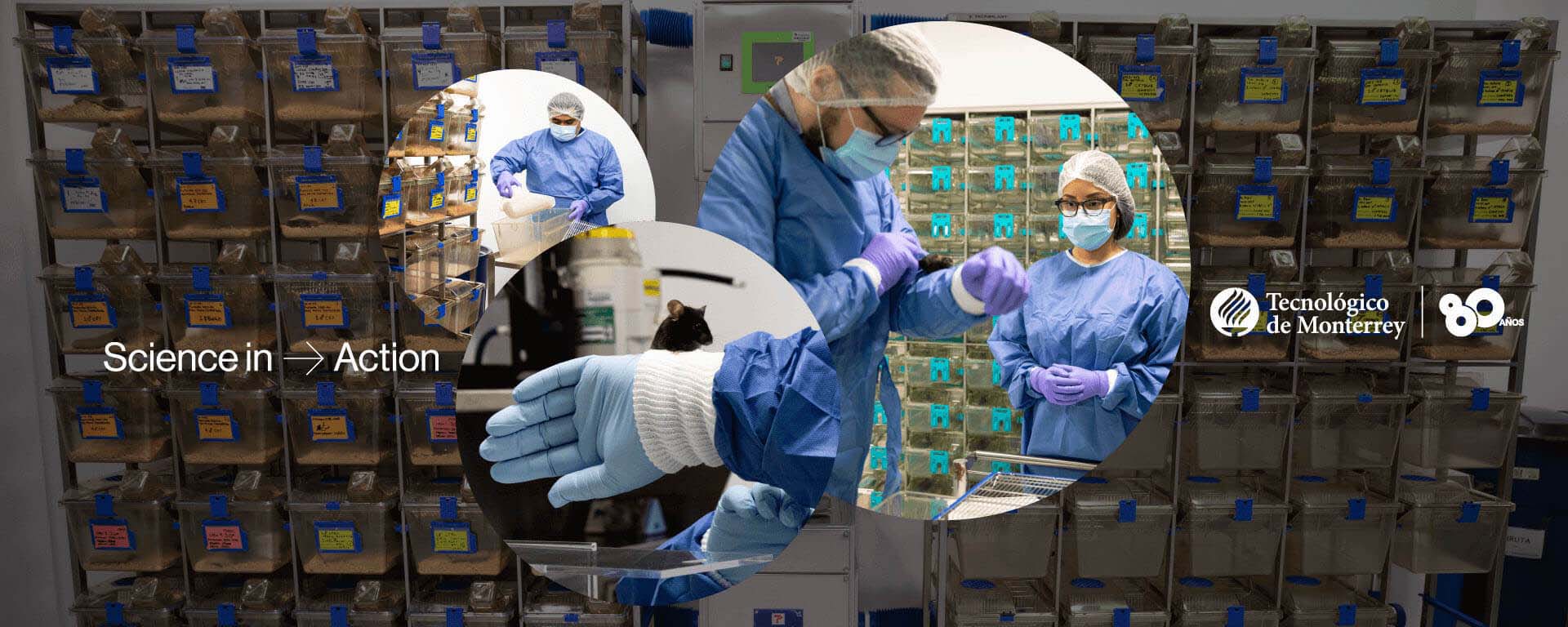 CoreLab Preclínica