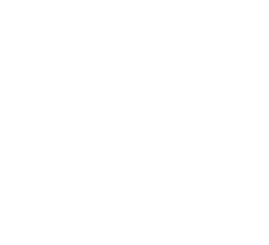 BORREGOS