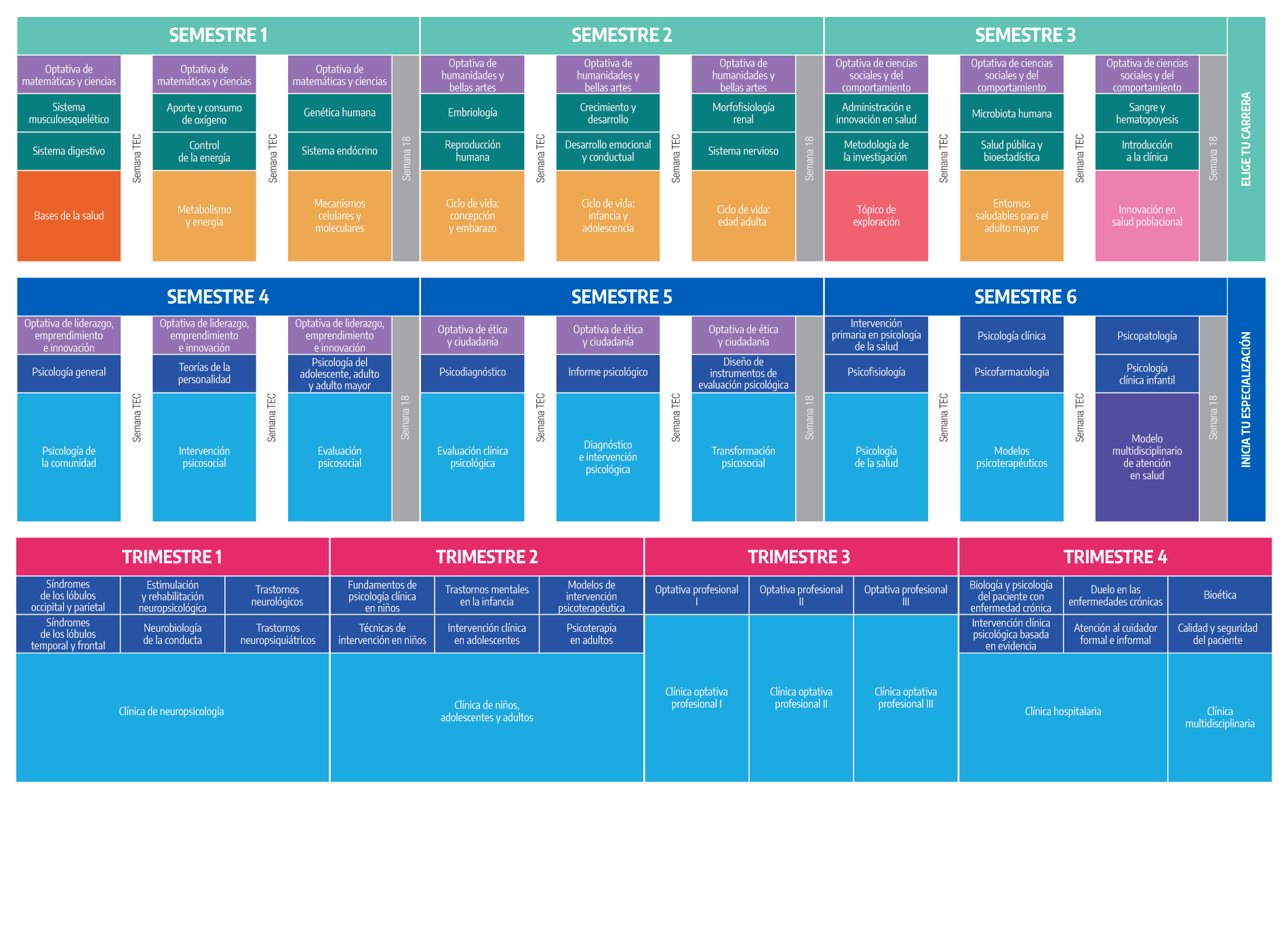 Plan de Estudio Licenciatura en Psicología Clínica y de la Salud