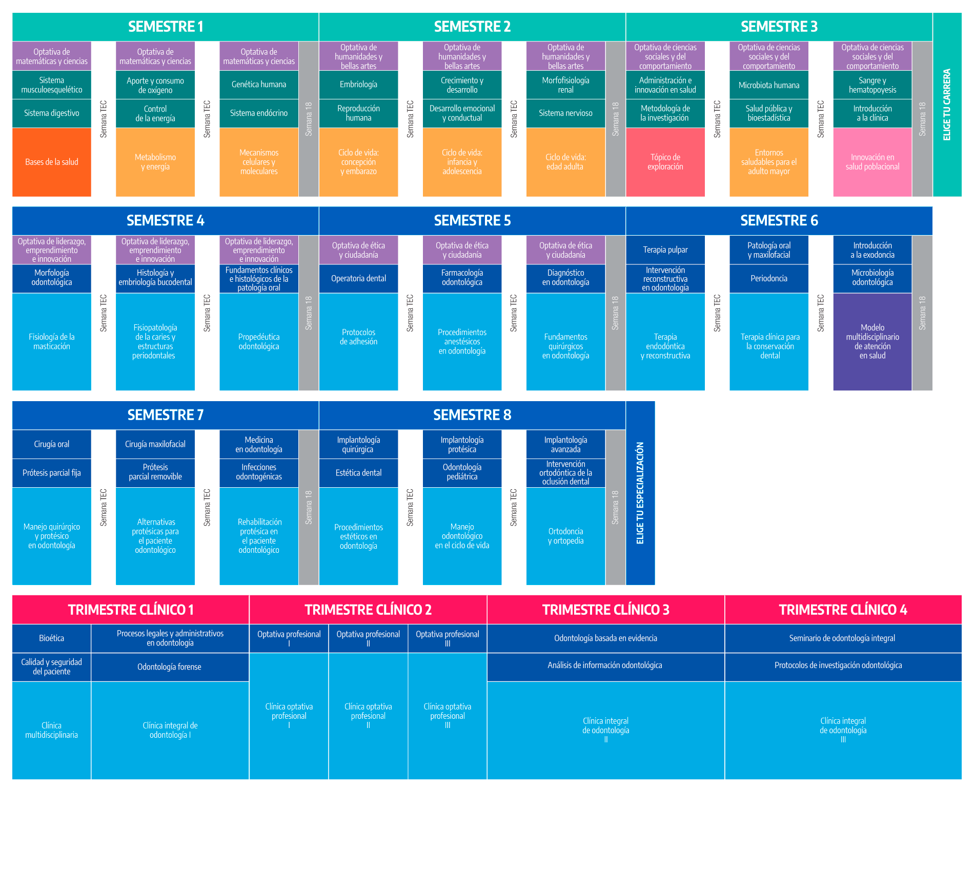 Plan de Estudio Médico Cirujano Odontólogo