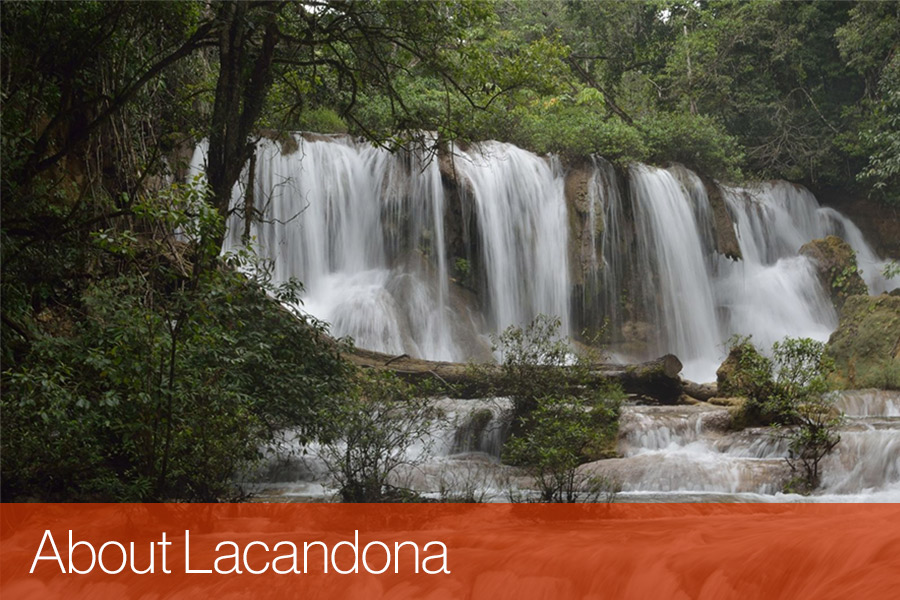 About Lacandona 1st. Indigenous Knowledges workshop