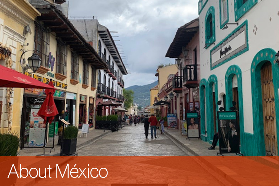About México 1st. Indigenous Knowledges workshop