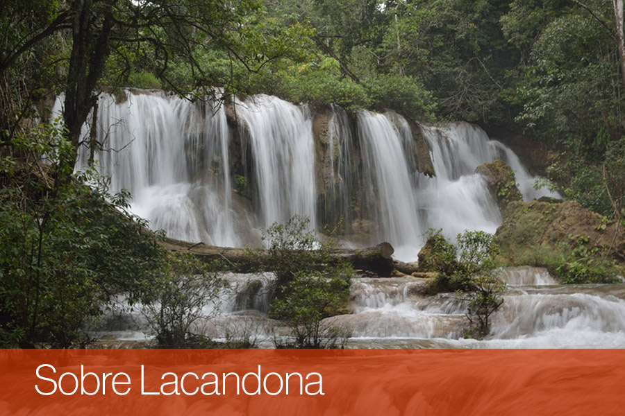 About Lacandona 1st. Indigenous Knowledges workshop