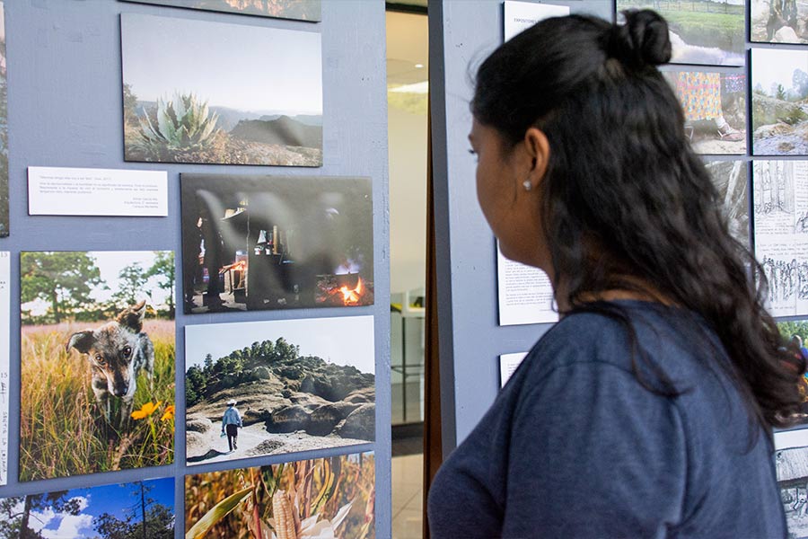Alumna viendo fotografías en una exposición