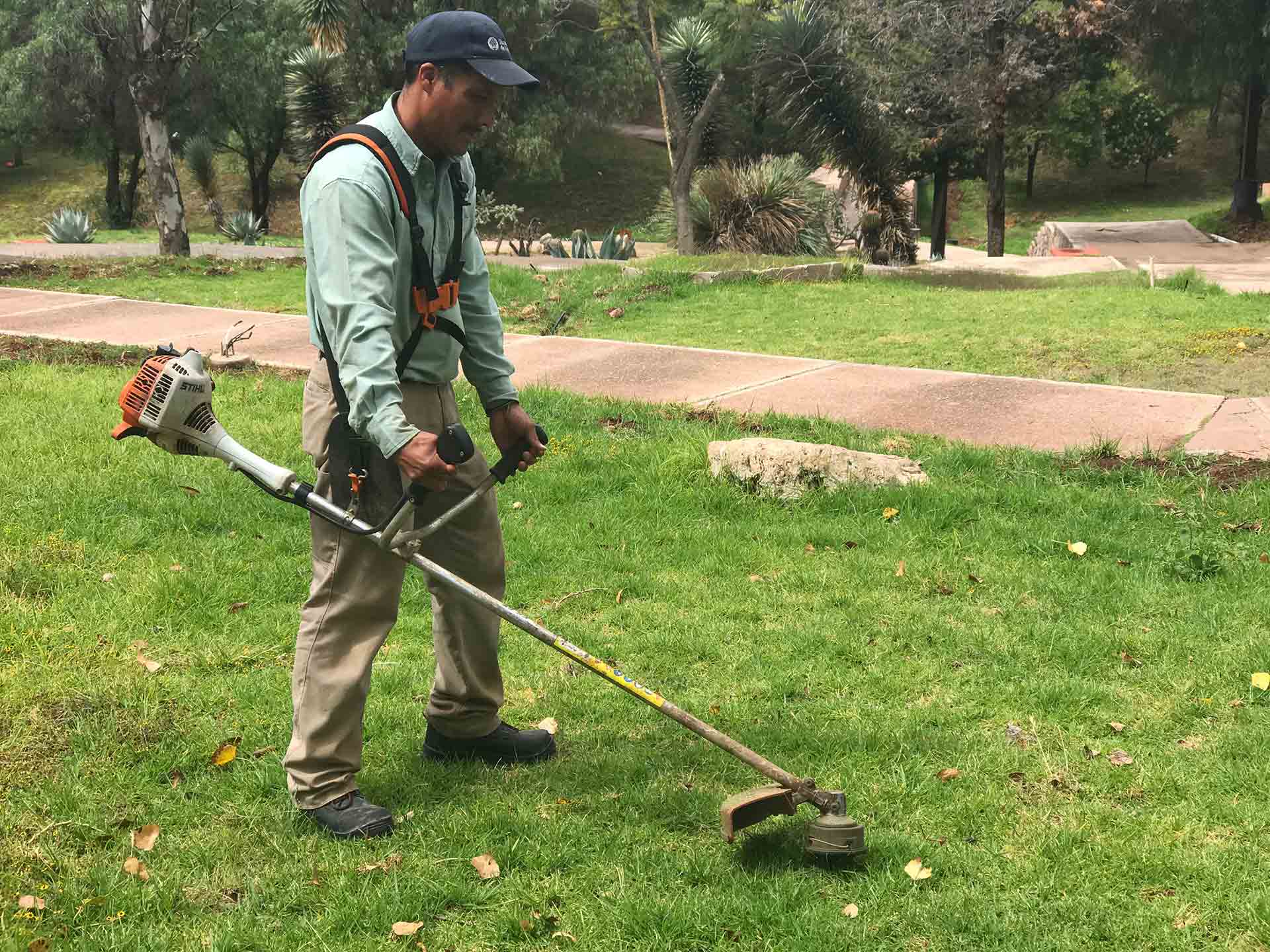 Don Cuco empieza su jornada laboral todos los días a las 7:00 am para cuidar las áreas verdes del campus.