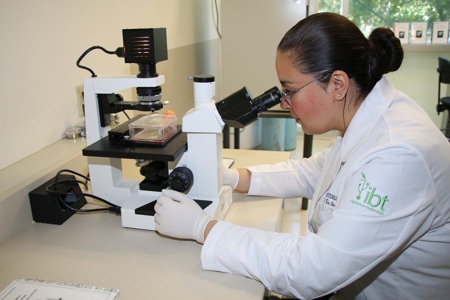 La oncología en cáncer de colon es la línea de investigación más fuerte que mantiene la profesora Ríos Ibarra. 