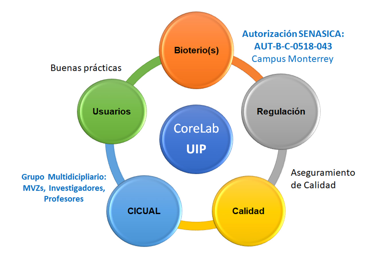 Estructura funcional UIP