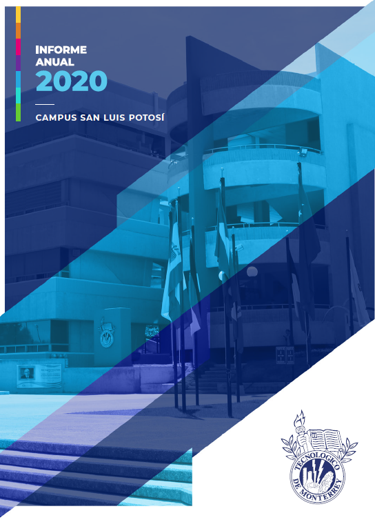 Informe Anual 2020