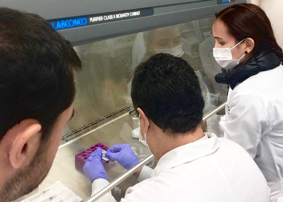 Participantes del taller trabajando con células humanas.