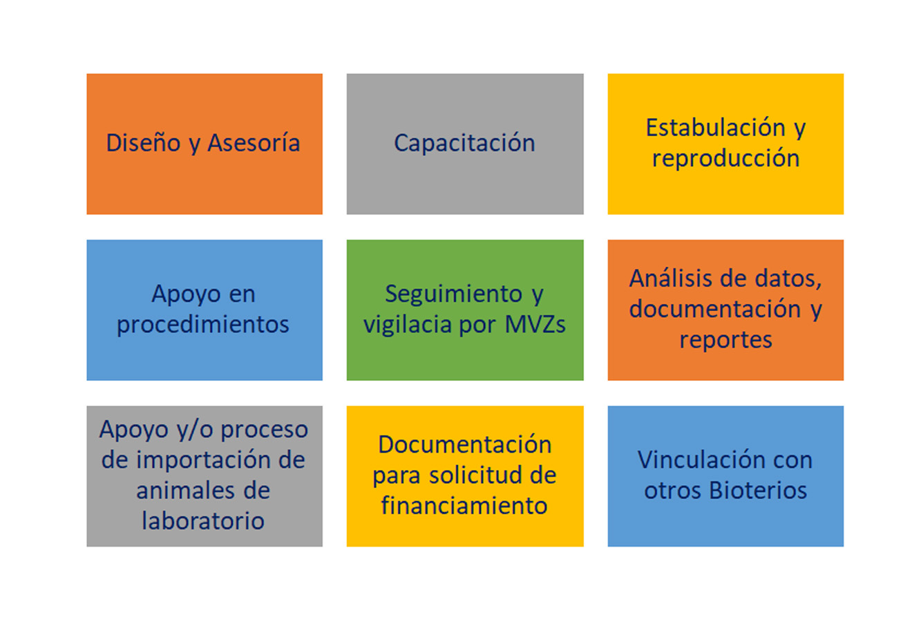 Servicios UIP