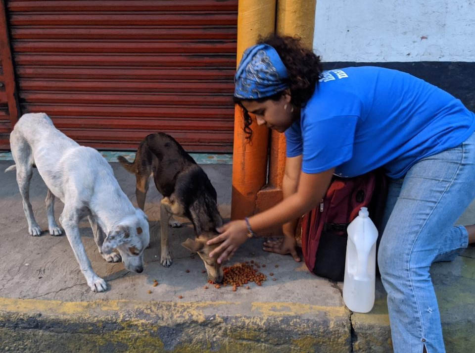 A través de su fundación “Hogares caninos” ? ? Rosa María Chávez, alumna del Tec de Monterrey campus Veracruz, rescata y da hogar a perros en situación de calle
