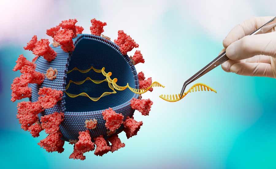 Los investigadores usan secuenciación genómica para conocer las variantes del virus y desarrollar tecnología que las pueda detectar.