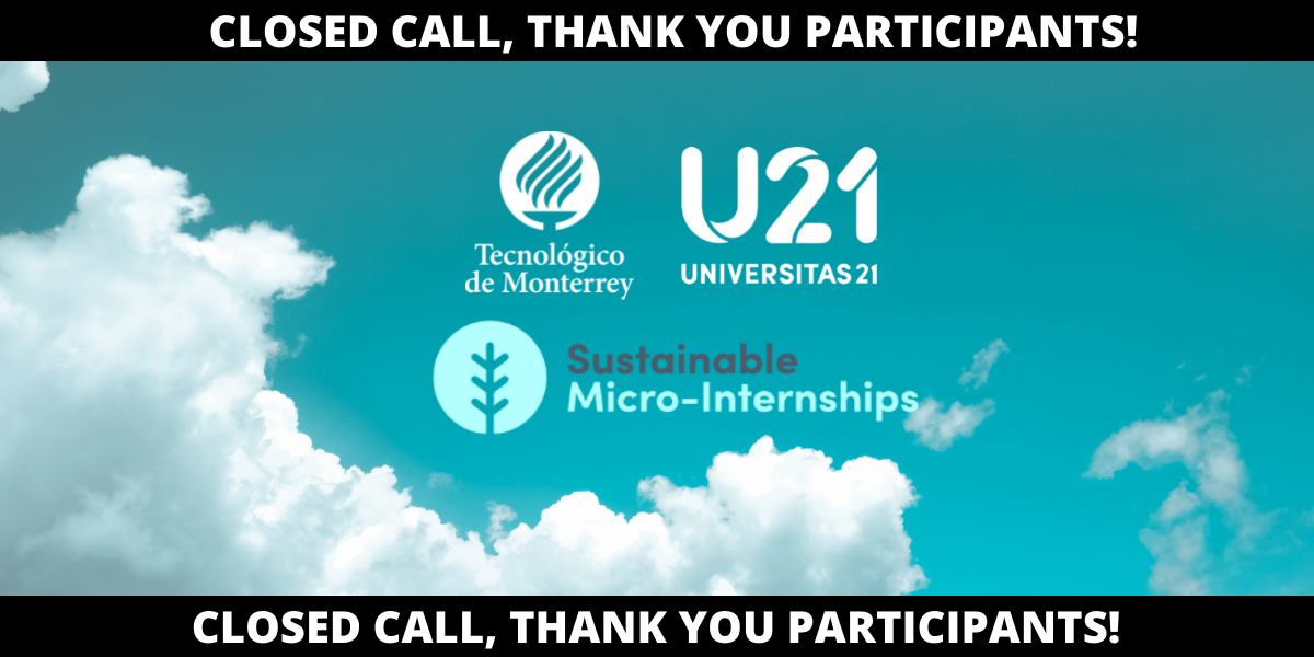 U21 Micro-Internships