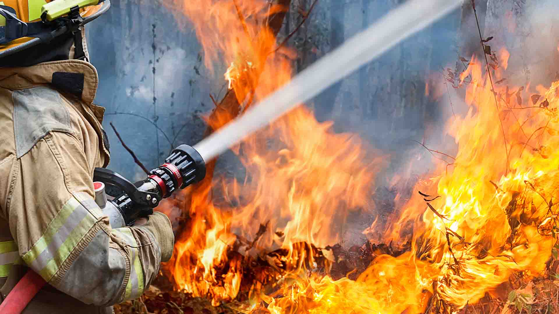 Incendios forestales