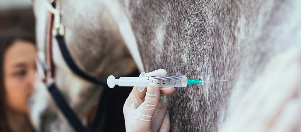 Inosar - Suero activo anti COVID-19