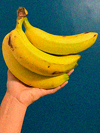 Imagen de un plátano