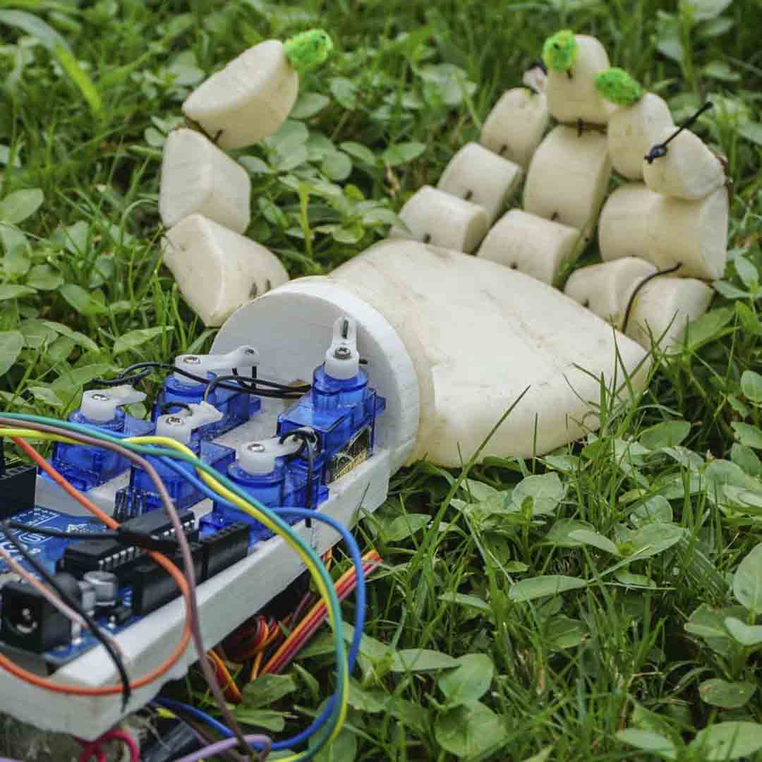 protesis de una mano sobre el pasto