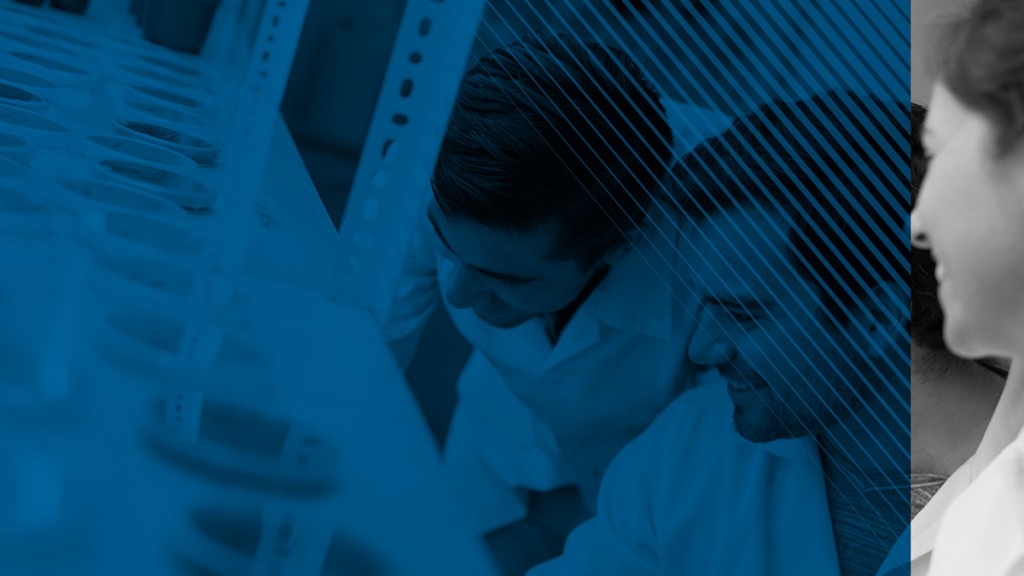 Bioingeniería y Procesos Químicos
