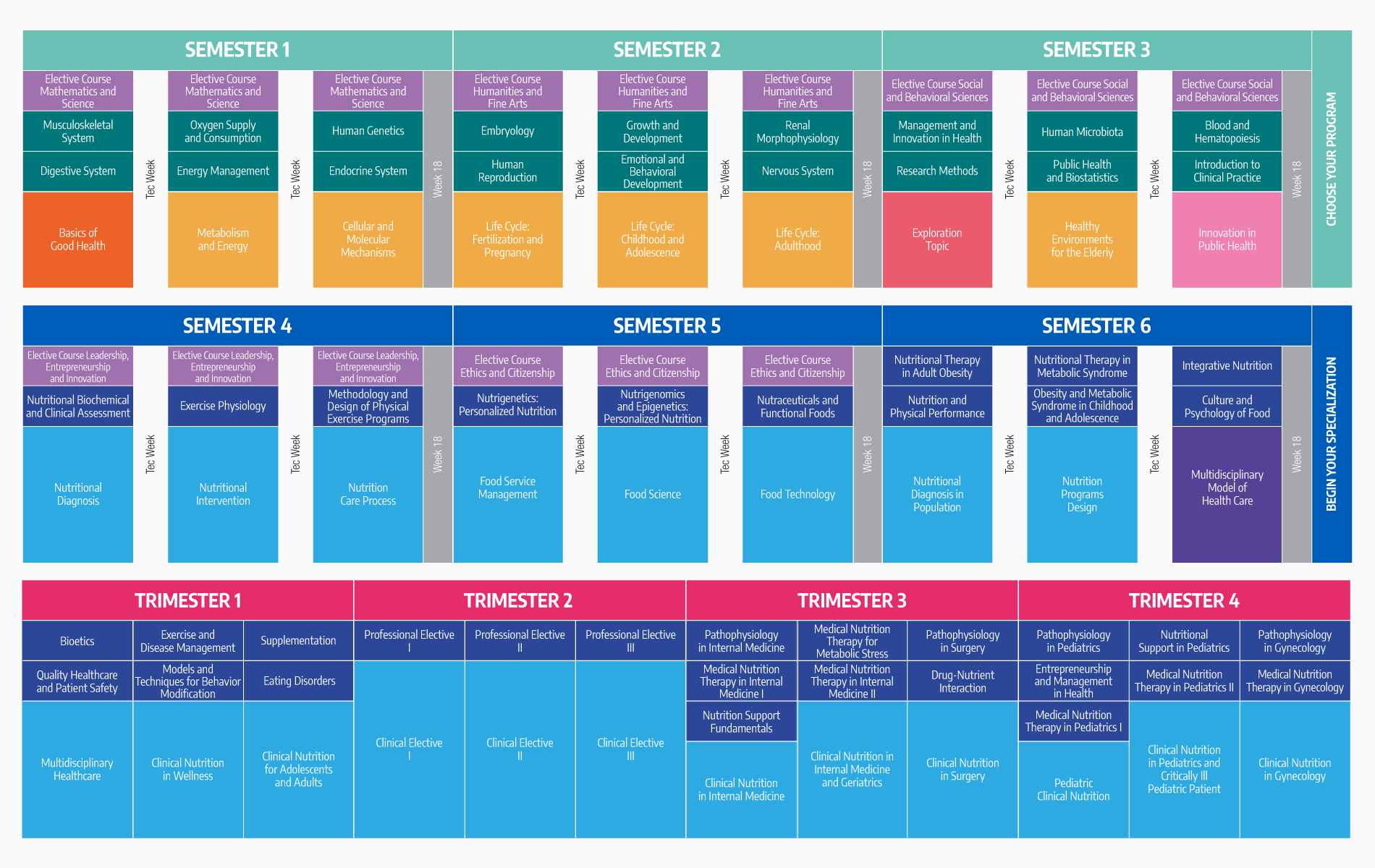 Plan de estudios LNB