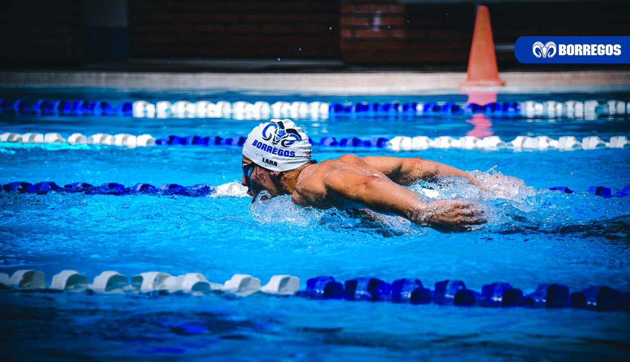 natacion-mty