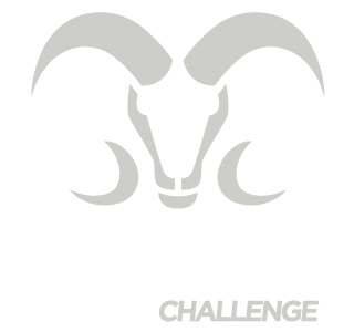 Logotipo Borregos Esports Challenge