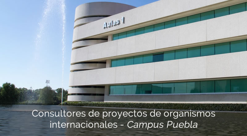 Consultores de proyectos de organismos internacionales