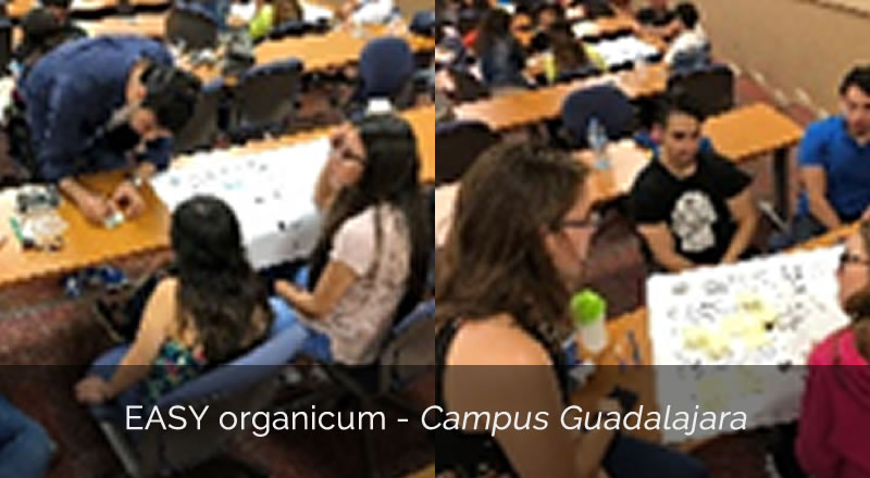 EASY organicum