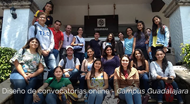 Diseño de convocatorias online