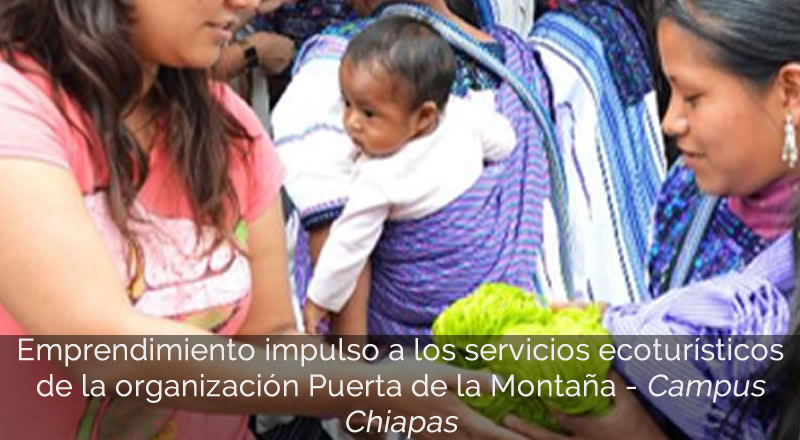Emprendimiento Impulso a los servicios ecoturísticos de la Organización Puerta a la Montaña