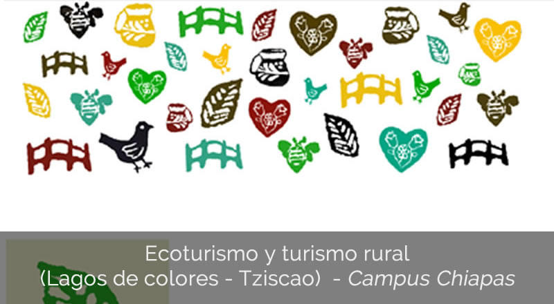 Ecoturismo y Turismo rural (Lagos de Colores - Tziscao)