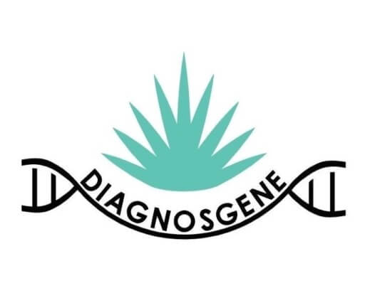 Igem Tec Mty – Salvemos nuestro agave