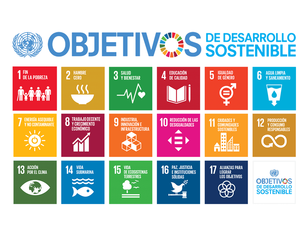 objetivos ONU