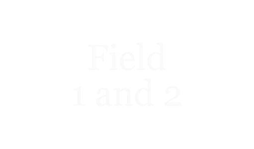 Fields 1 and 2