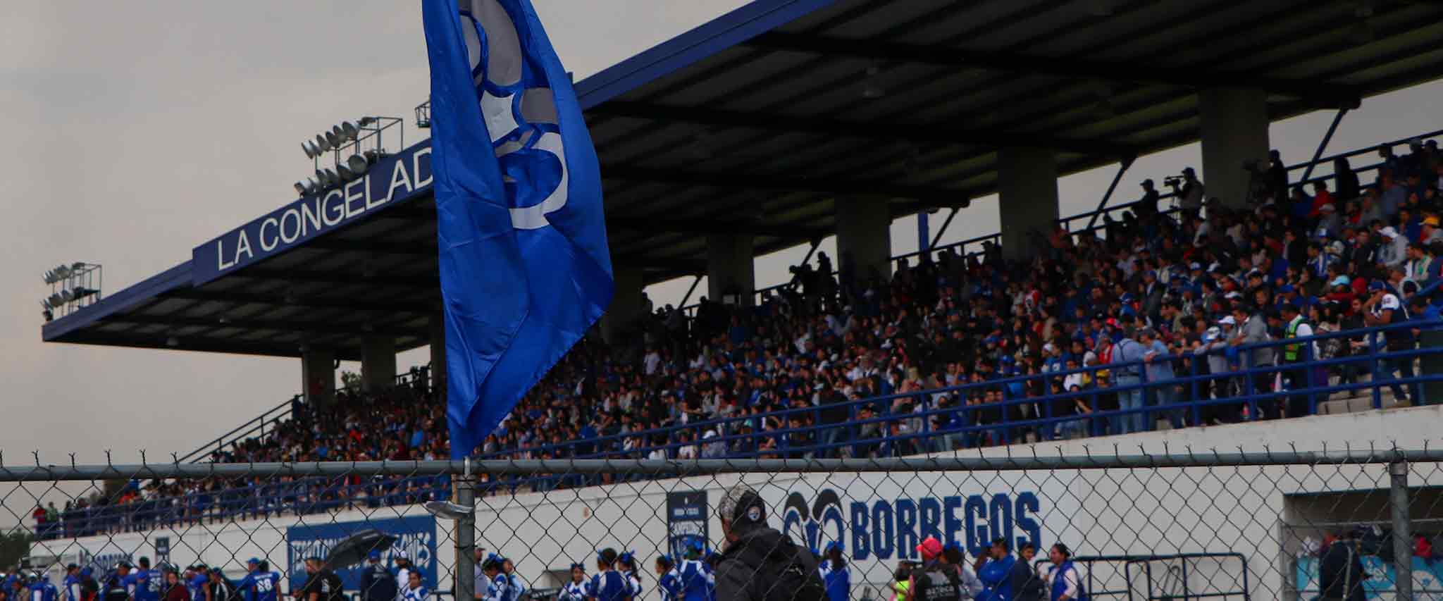 Estadio La Congeladora - Gradas