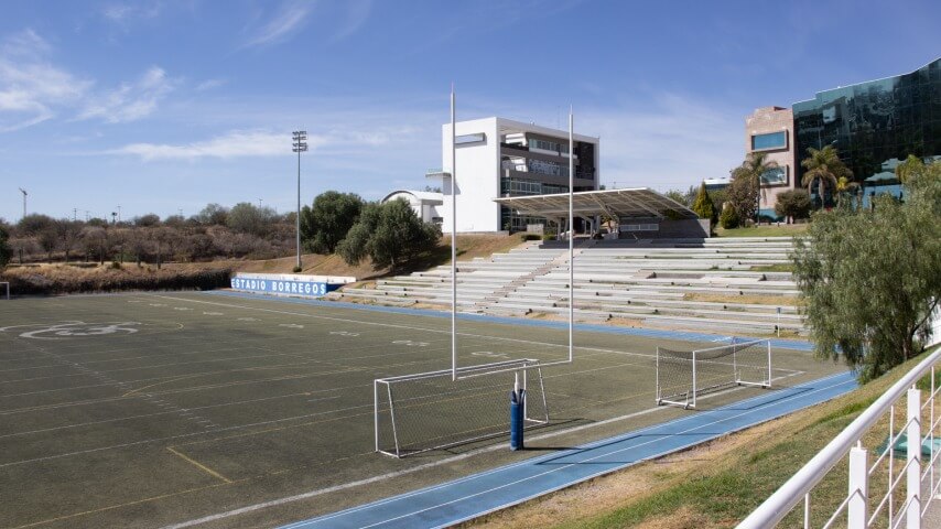 Estadio Borrego