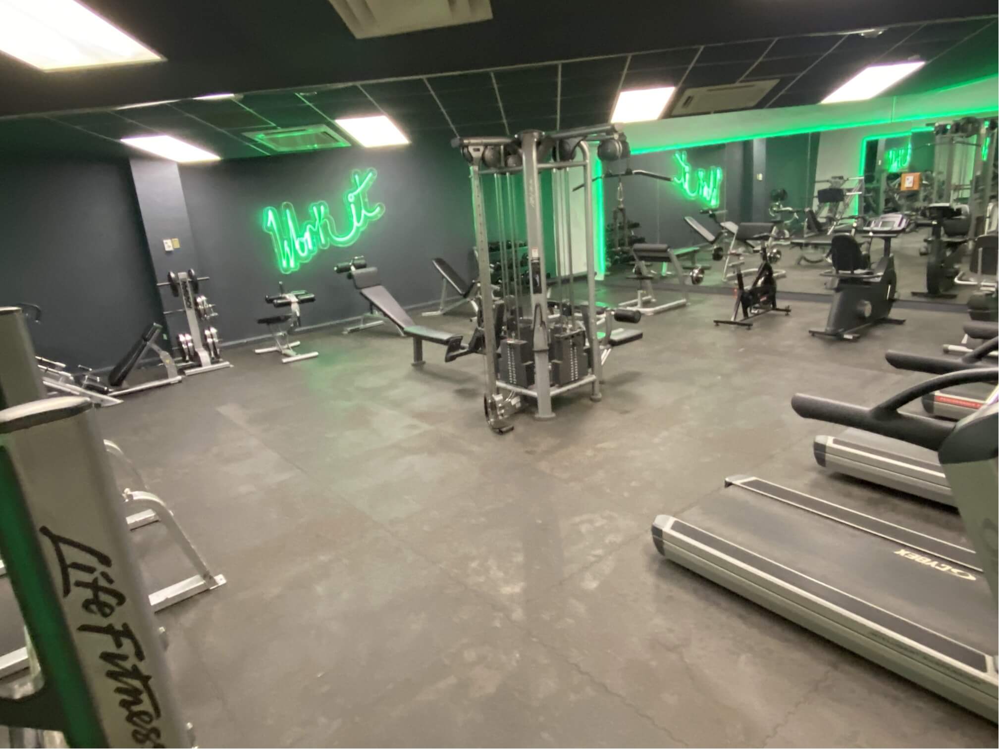 GYM ED III