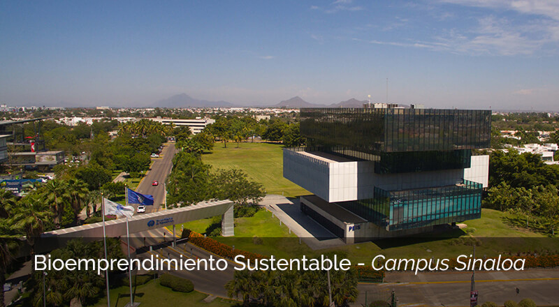 Bioemprendimiento Sustentable, Campus Sinaloa