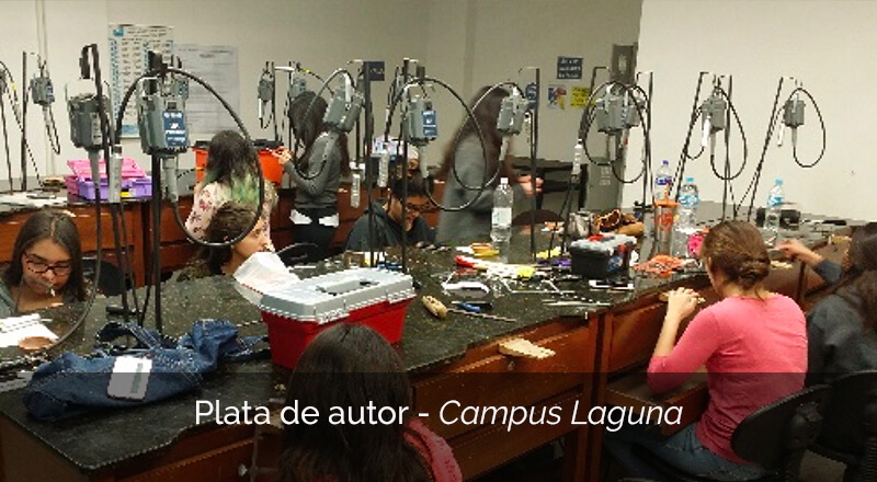Plata de Autor, Campus Laguna
