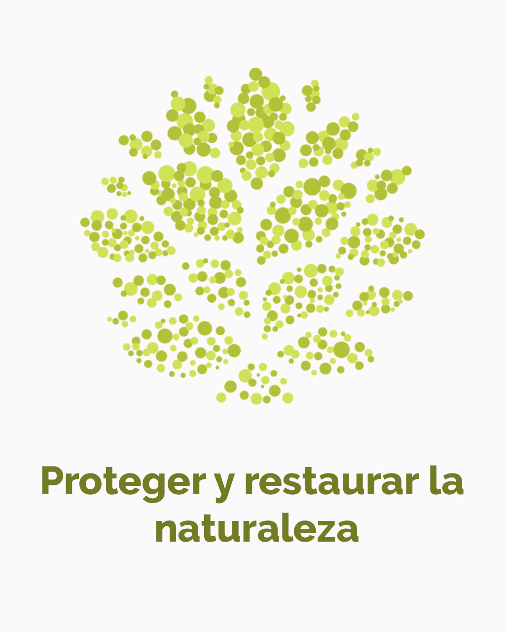 Categoría Proteger y restaurar la naturaleza premio EarthShot Prize Tec de Monterrey