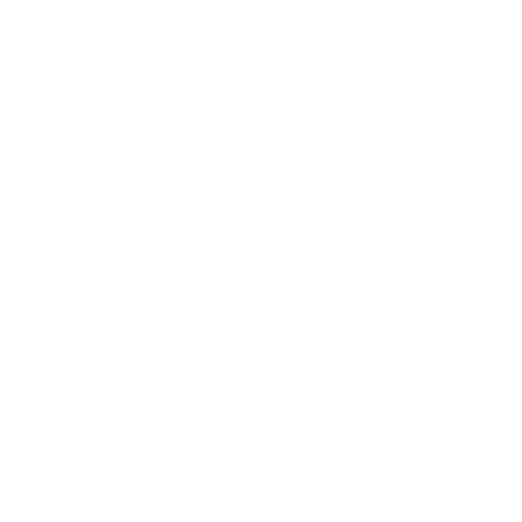 Habilidades Intelectuales
