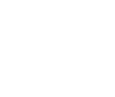 logo borrego