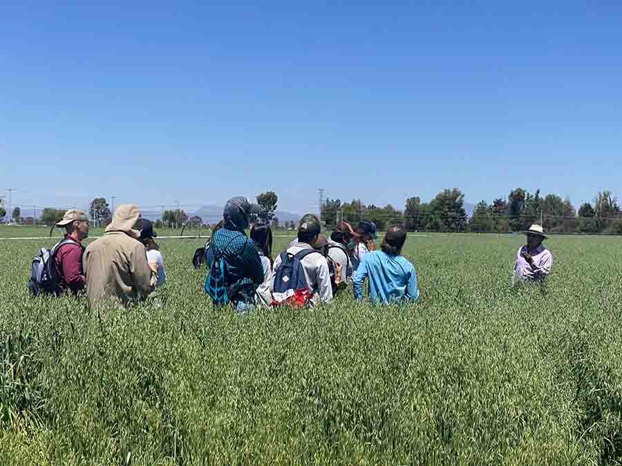 Profesor del Tec dirige investigación del uso de suelo aplicado a la producción de la avena.