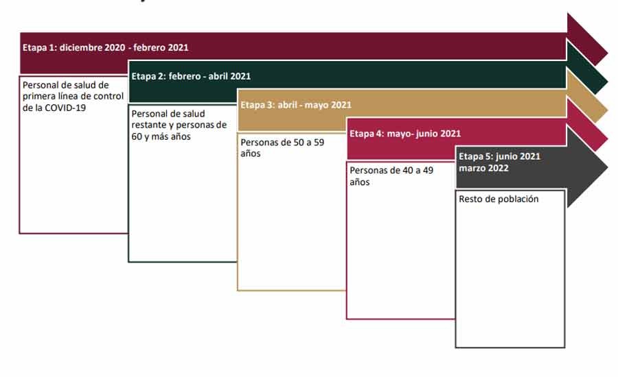 Etapas de vacunación