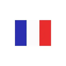 Comité de Memoria Histórica francés